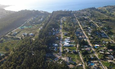 BOSQUES DE QUILEN, COSTA QUILEN