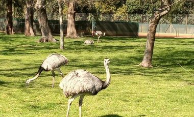 VENTA TERRENO/LOTE EL MIRADOR SPA TERMAL