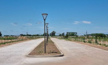 Terreno en Saint Thomas Chico