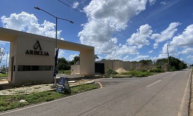 Local en Renta en Privada Arbelia en Conkal