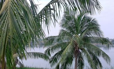 CASA EN VENTA FRENTE AL RIO, TUXPAN, VERACRUZ.