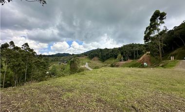 Venta de Lote En El Retiro Pantanillo