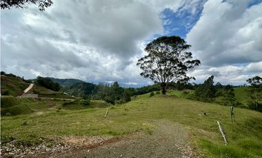Venta de Lote En El Retiro Pantanillo