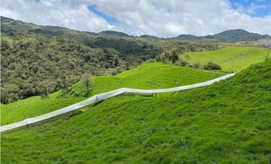 Venta finca productiva 27 ha en La Unión – Vía Sonsón