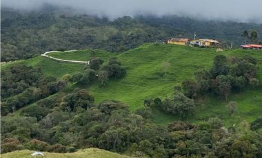 Venta finca productiva 27 ha en La Unión – Vía Sonsón