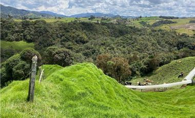 Venta finca productiva 27 ha en La Unión – Vía Sonsón