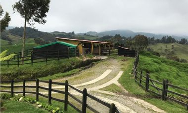 Venta finca productiva 27 ha en La Unión – Vía Sonsón