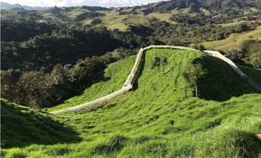 Venta finca productiva 27 ha en La Unión – Vía Sonsón