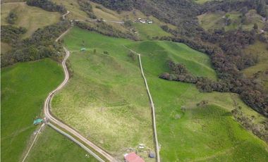 Venta finca productiva 27 ha en La Unión – Vía Sonsón