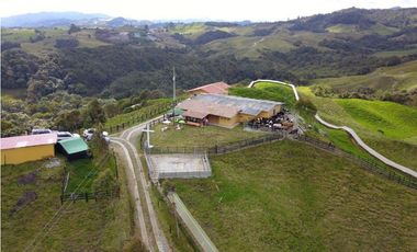 Venta finca productiva 27 ha en La Unión – Vía Sonsón