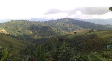 🌿🌳 Finca Cafetera Tecnificada en Vía Pereira – Marsella