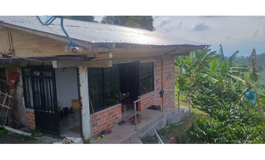 🌿🌳 Finca Cafetera Tecnificada en Vía Pereira – Marsella