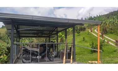 🌿🌳 Finca Cafetera Tecnificada en Vía Pereira – Marsella