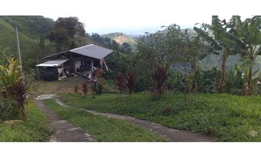 🌿🌳 Finca Cafetera Tecnificada en Vía Pereira – Marsella