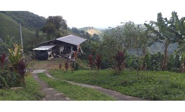 🌿🌳 Finca Cafetera Tecnificada en Vía Pereira – Marsella