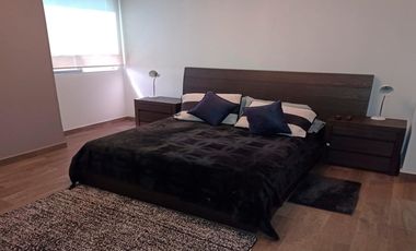 Departamento Amueblado En Renta Torre Celsus León Guanajuato