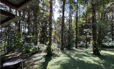 SE VENDE  FINCA CON 4 CABAÑAS Y 2 CASAS EN CERRO AZUL DE 1055M