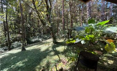 SE VENDE  FINCA CON 4 CABAÑAS Y 2 CASAS EN CERRO AZUL DE 1055M