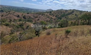 Se Vende Finca en Santa Marta, Las Tablas