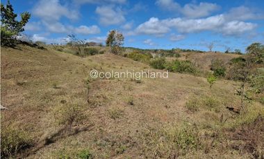 Se Vende Finca en Santa Marta, Las Tablas