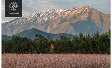Parcela en venta en MOSTAZAL