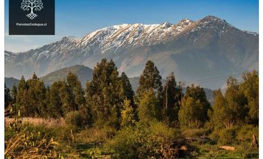 Parcela en venta en CODEGUA