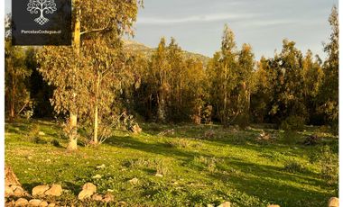 Parcela en venta en RANCAGUA