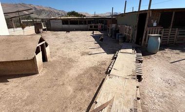 Casa en arriendo en COPIAPÓ