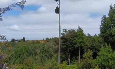 Parcela en venta en LOS MUERMOS