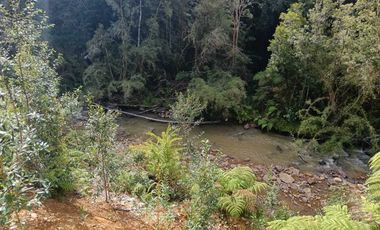 Parcela en venta en LOS MUERMOS