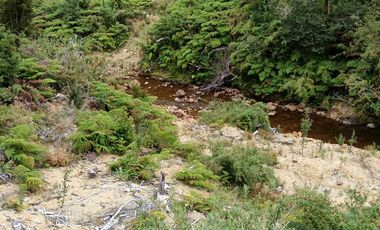 Parcela en venta en LOS MUERMOS