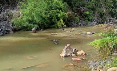 Parcela en venta en LOS MUERMOS