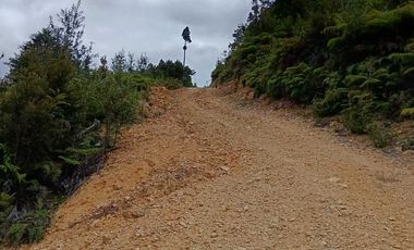 Parcela en venta en LOS MUERMOS