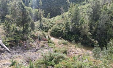 Parcela en venta en LOS MUERMOS