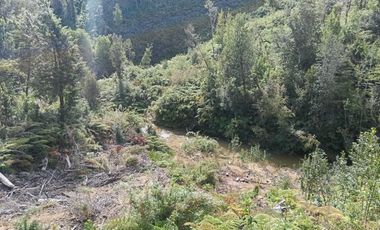 Parcela en venta en LOS MUERMOS