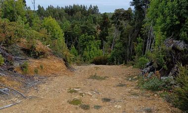 Parcela en venta en LOS MUERMOS