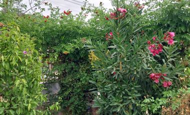 Casa en venta en LA CISTERNA