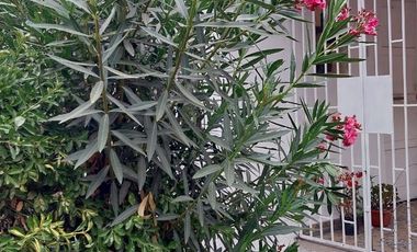 Casa en venta en LA CISTERNA