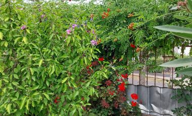 Casa en venta en LA CISTERNA