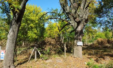 TERRENO EN OPORTUNIDAD EN LOMA VERDE 7030m2