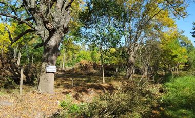 TERRENO EN OPORTUNIDAD EN LOMA VERDE 7030m2
