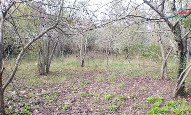 Terreno Construccion  en Arriendo en COD33090 SECTOR NORTE DE TEMUCO