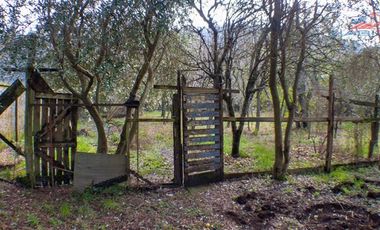 Terreno Construccion  en Arriendo en COD33090 SECTOR NORTE DE TEMUCO