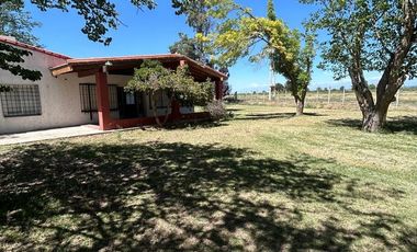 Campo en Venta Ruta 40 Mendoza - Ugarteche