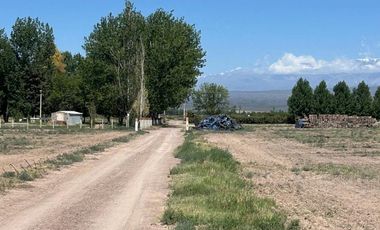 Campo en Venta Ruta 40 Mendoza - Ugarteche