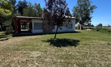 Campo en Venta Ruta 40 Mendoza - Ugarteche
