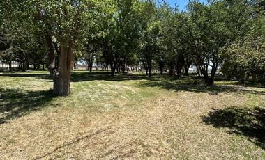 Campo en Venta Ruta 40 Mendoza - Ugarteche