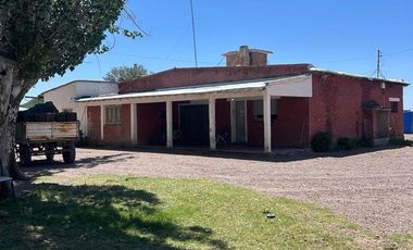 Campo en Venta Ruta 40 Mendoza - Ugarteche