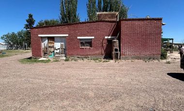 Campo en Venta Ruta 40 Mendoza - Ugarteche