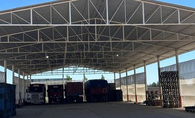 Campo en Venta Ruta 40 Mendoza - Ugarteche